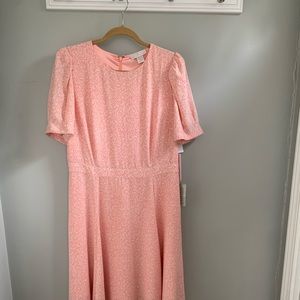 Rachel Purcell gorgeous dress